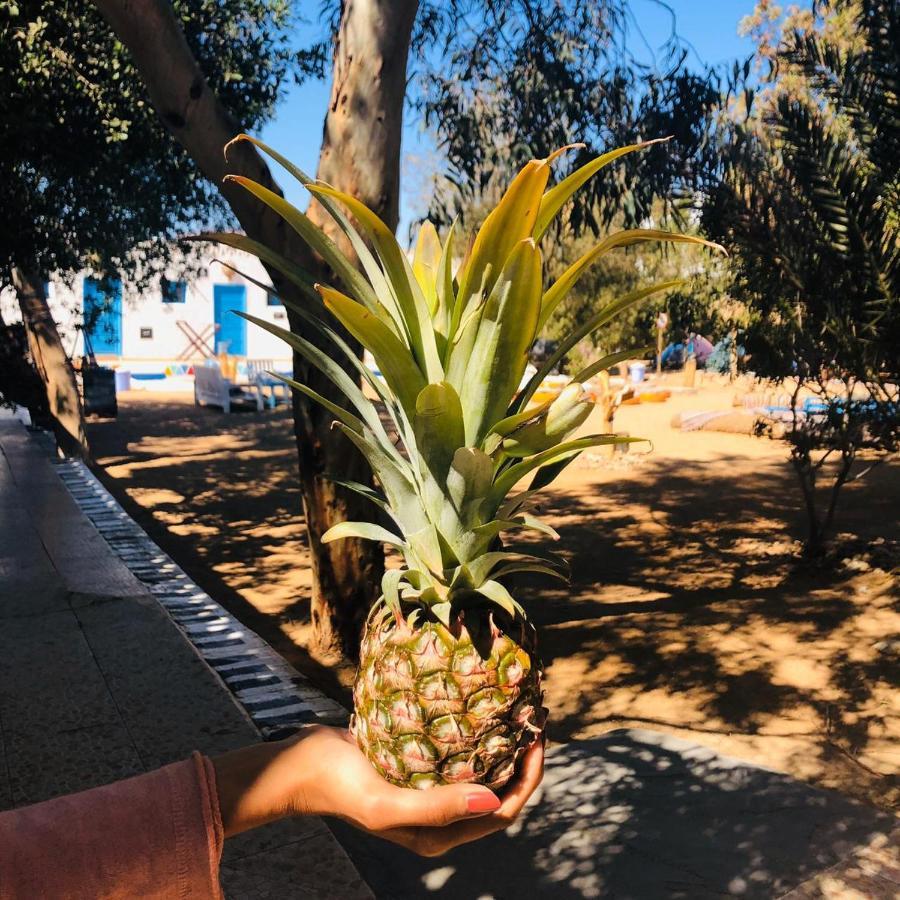 Hotel Elrayga Camp Dahab Zewnętrze zdjęcie